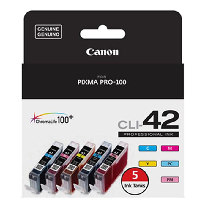 Canon pixma pro on sale 100 ink