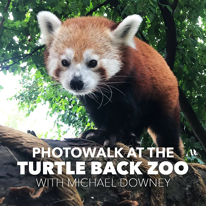 Photowalk at Turtle Back Zoo with Michael Downey - Unique University at ...